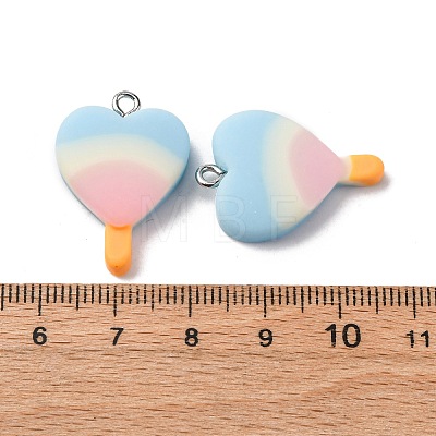 Resin Pendants LS-CRES-U007-01P-02-1