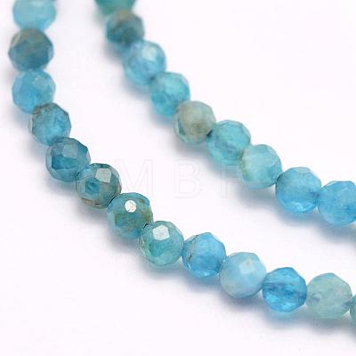 Natural Apatite Beads Strands G-F509-17-3mm-1