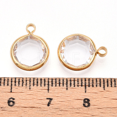 K9 Glass Charms GLAA-T023-37A-02-1