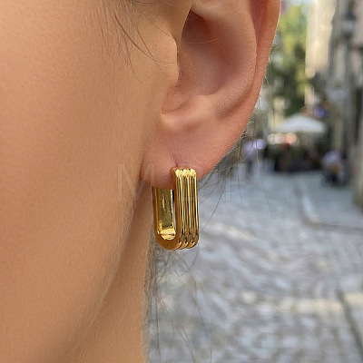 304 Stainless Steel Hoop Earrings EJEW-D358-01G-1