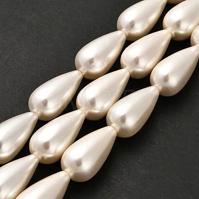 Electroplate Shell Pearl Beads Strands BSHE-G010-10x20mm-01-1