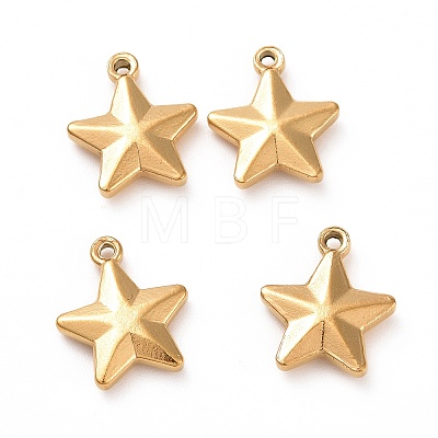 201 Stainless Steel Charms X-STAS-G081-09G-1