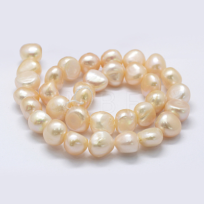 Natural Cultured Freshwater Pearl Beads Strands PEAR-K004-04B-1