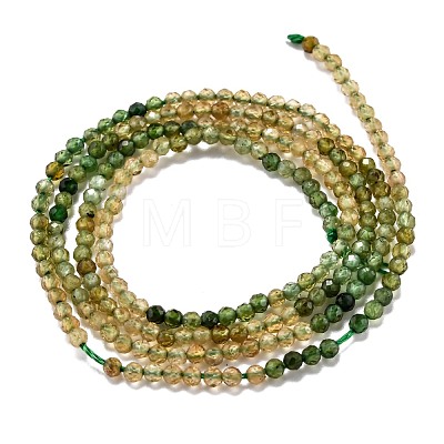 Natural Green Tourmaline Beads Strands G-H266-08B-1