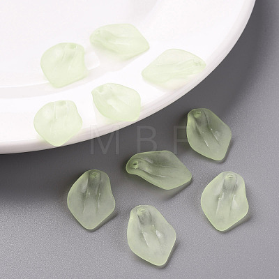 Transparent Frosted Acrylic Pendants MACR-S371-03A-728-1