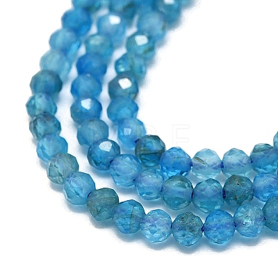 Natural Apatite Beads Strands G-G106-C06-01-1