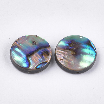 Abalone Shell/Paua Shell Beads SSHEL-T008-06B-1