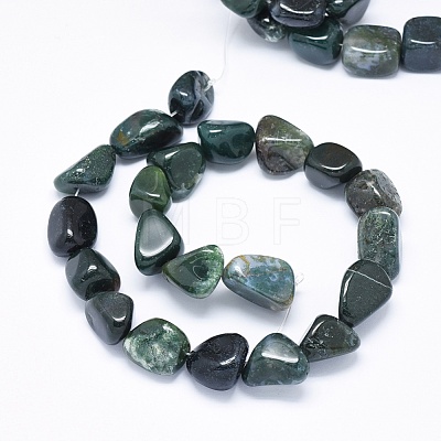 Natural Moss Agate Beads Strands X-G-F637-24-1