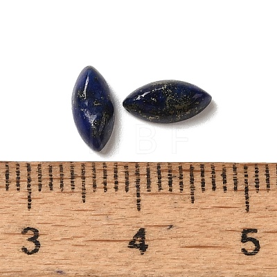 Natural Lapis Lazuli Cabochons G-F772-01B-07-1