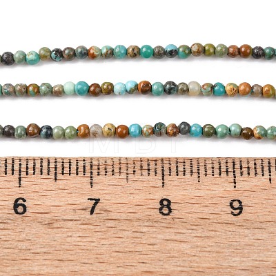 Natural Turquoise Beads Strands G-K366-G01-2mm-1