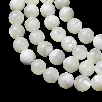 Natural Trochid Shell/Trochus Shell Beads Strands SH-CBA2978-16B-1