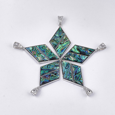 Abalone Shell/Paua Shell Pendants X-RESI-S376-01-1