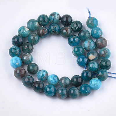 Natural Apatite Beads Strands G-S333-10mm-031-1
