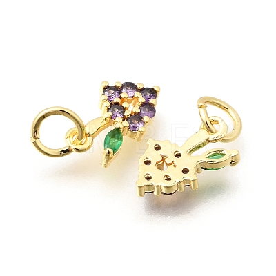 Brass Micro Pave Cubic Zirconia Charms KK-Z156-16G-1