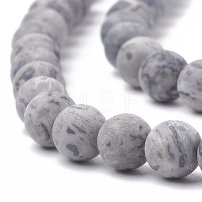 Natural Map Stone/Picasso Stone/Picasso Jasper Beads Strands G-T106-222-1