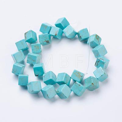 Natural Magnesite Beads Strands TURQ-K003-20B-1