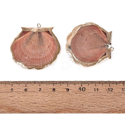 Electroplated Golden Brass Trim Natural Sea Shell Pendants SSHEL-N042-33-1