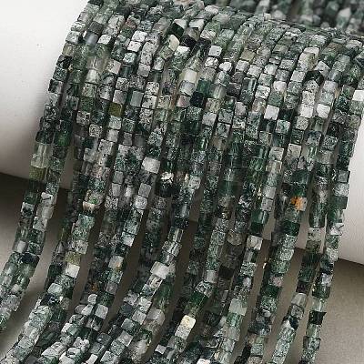 Natural Moss Agate Beads Strands GG-CBA2498-A04-01-1