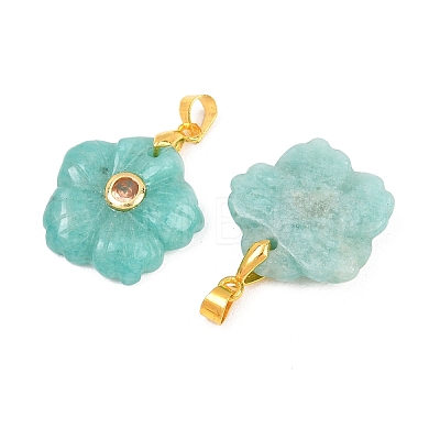 Natural Amazonite Carved Pendants G-A315-01G-10-1