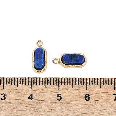 Natural Lapis Lazuli Rectangle Charms STAS-I325-141A-G-1