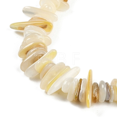 Natural Trochus Shell Beads Strands BSHE-H109-08-1