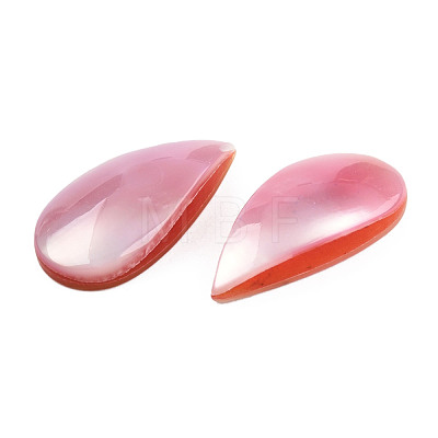 Natural Turbo Cornulus/Top Shells Cabochons SSHEL-N003-156B-1