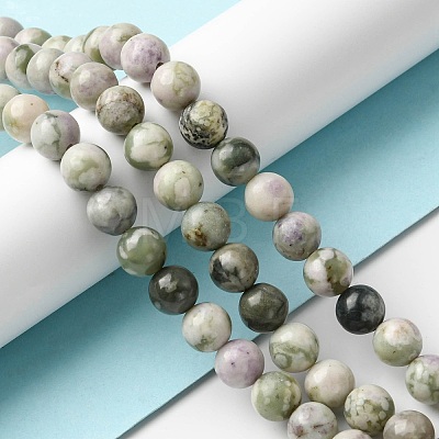 Natural Peace Jade Beads Strands G-E598-04B-1