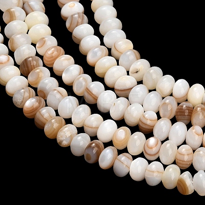 Natural Freshwater Shell Beads Strands SHEL-C010-04B-01-1