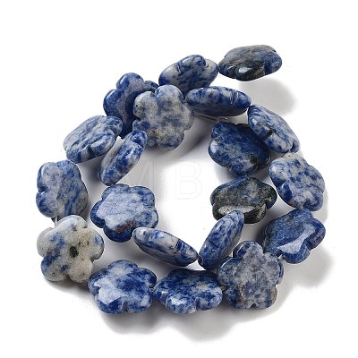 Natural Blue Spot Jasper Beads Strands G-F769-D01-02-1