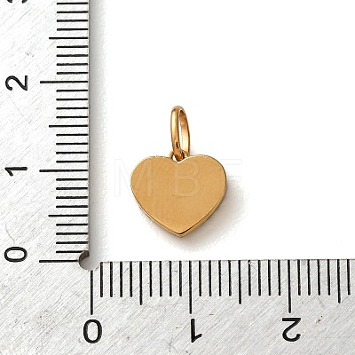 304 Stainless Steel Micro Pave Clear Cubic Zirconia Charms CU-CBA703A-04G-03-1