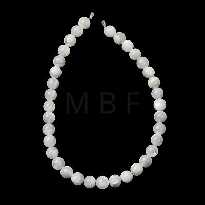 Natural Trochid Shell/Trochus Shell Beads Strands SH-CBA2978-16A-1