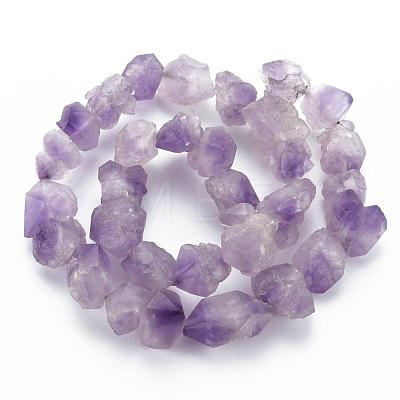 Raw Rough Natural Amethyst Beads Strands G-N0326-028-1