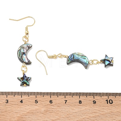 Natural Paua Shell Dangle Earrings for Women EJEW-JE07077-1