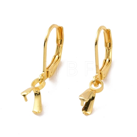 304 Stainless Steel Leverback Earring Findings STAS-G283-01G-1