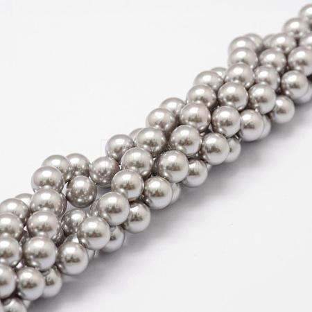 Shell Pearl Beads Strands BSHE-L026-05-8mm-1