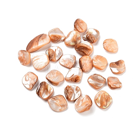 Natural Freshwater Shell Beads BSHE-S028-1