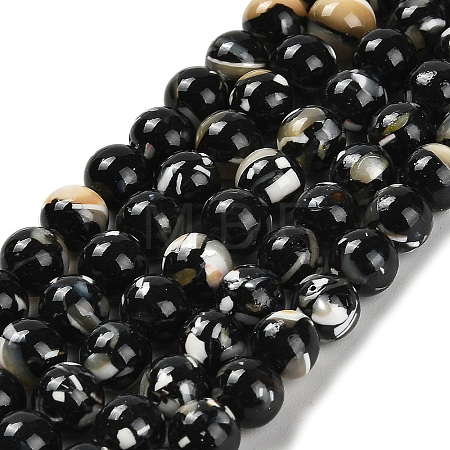 Assembled Synthetic Stone and Trochus Shell Beads Strands G-B128-08B-04-1