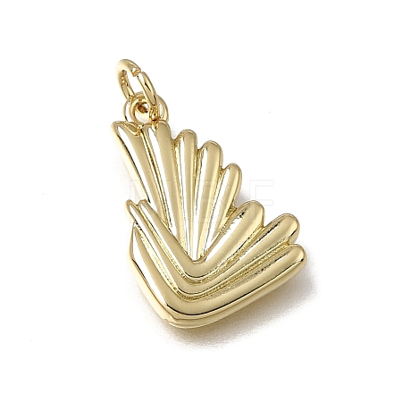 Brass Pendants KK-C262-30G-1
