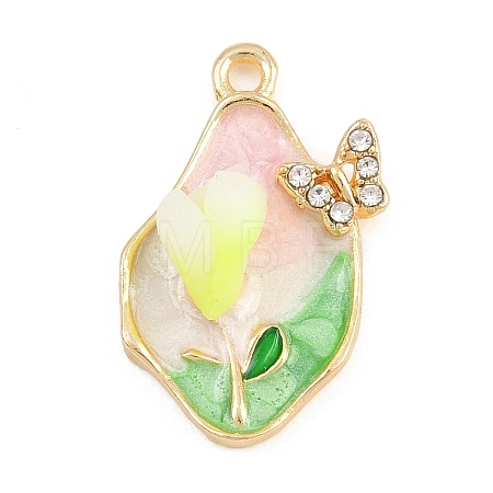 Alloy with Enamel Pendants RB-CBA01F2-02G-C-1