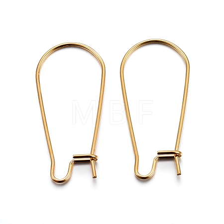 304 Stainless Steel Hoop Earrings X-STAS-P223-01G-01-1