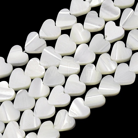 Natural Trochid Shell/Trochus Shell Beads Strands SH-CBA2978-19A-1