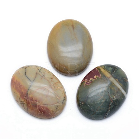 Natural Polychrome Jasper/Picasso Stone/Picasso Jasper Cabochons G-P393-I08-1