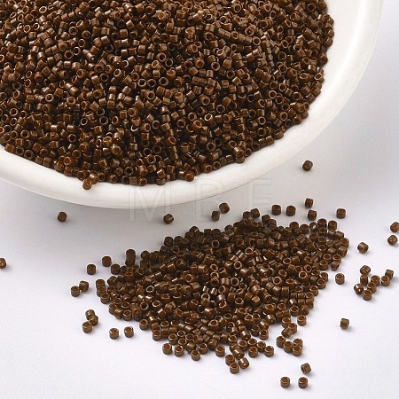 MIYUKI Delica Beads X-SEED-J020-DB2142-1