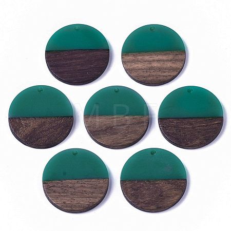 Resin & Wood Pendants RESI-S358-02B-23-1