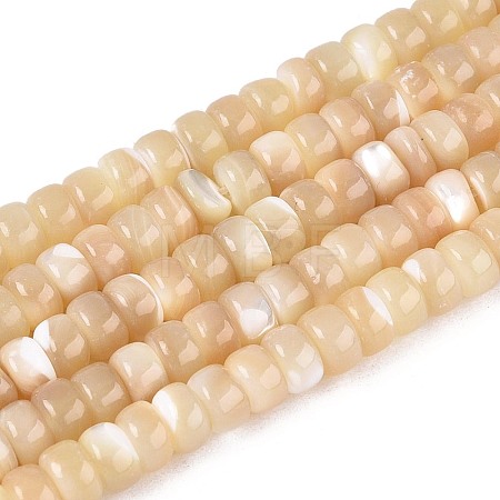 Natural Trochid Shell/Trochus Shell Beads Strands BSHE-T014-54B-1