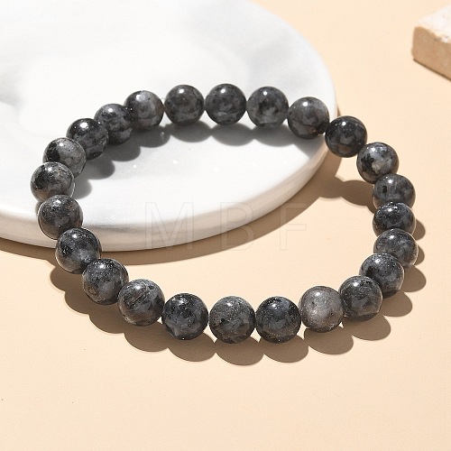 Natural Larvikite Bead Stretch Bracelets BJEW-K212-B-046-1