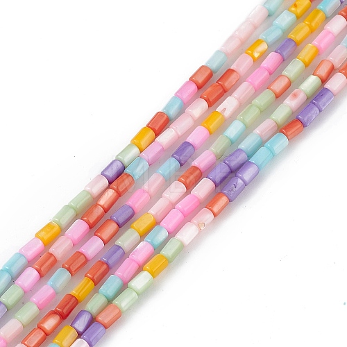 Natural Freshwater Shell Dyed Beads Strands X-SHEL-M018-12-13-1