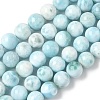 Natural Larimar Beads Strands G-B141-01-10mm-2