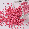 11/0 Grade A Baking Paint Glass Seed Beads X-SEED-N001-A-1045-1