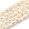 Natural Cultured Freshwater Pearl Beads Strands PEAR-I007-01K-02A-2